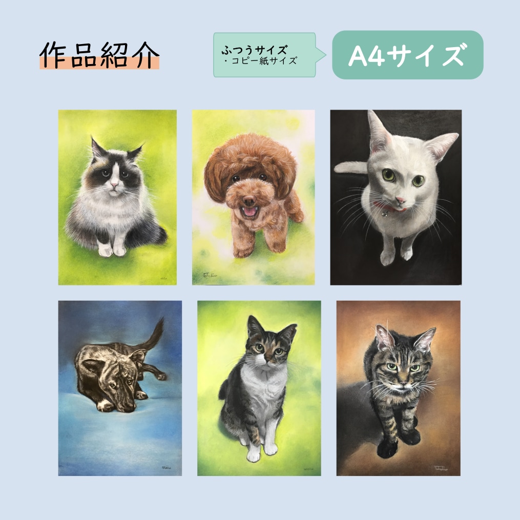 原画をご提供！リアルなペットのパステル画を描きます A5サイズ〜大小様々なサイズに対応します。 イメージ4
