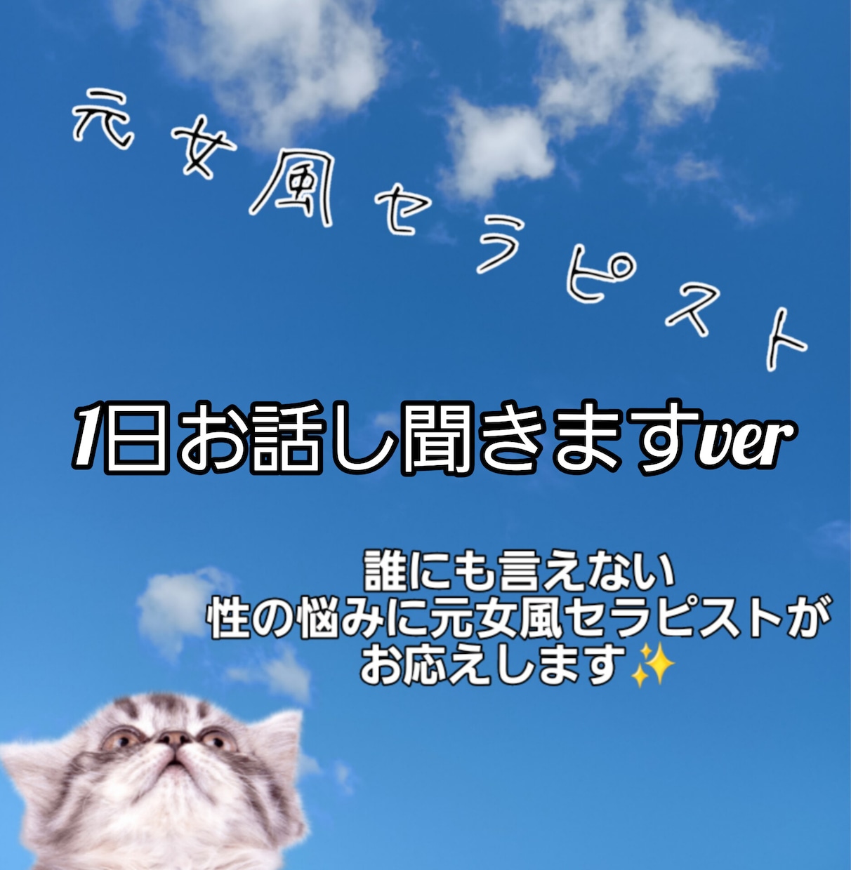 💬ココナラ｜元女風セラピストがお話し聞きます   元女風セラピスト海斗  
                5.0
               (2)…