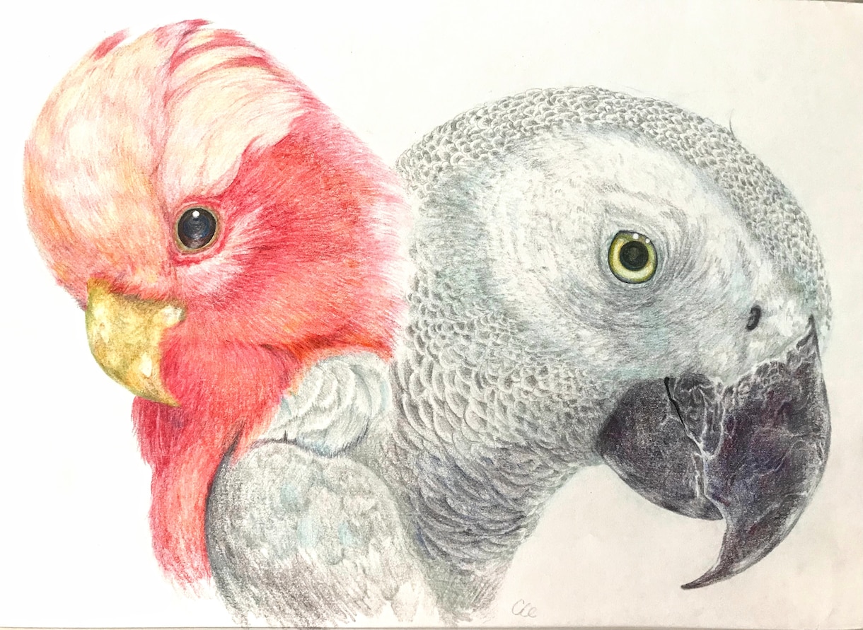 お手持ちの写真がアナログ色鉛筆絵画になります 趣味で色鉛筆画をやりたい…でも手元にあるこの写真手本が欲しい イメージ1