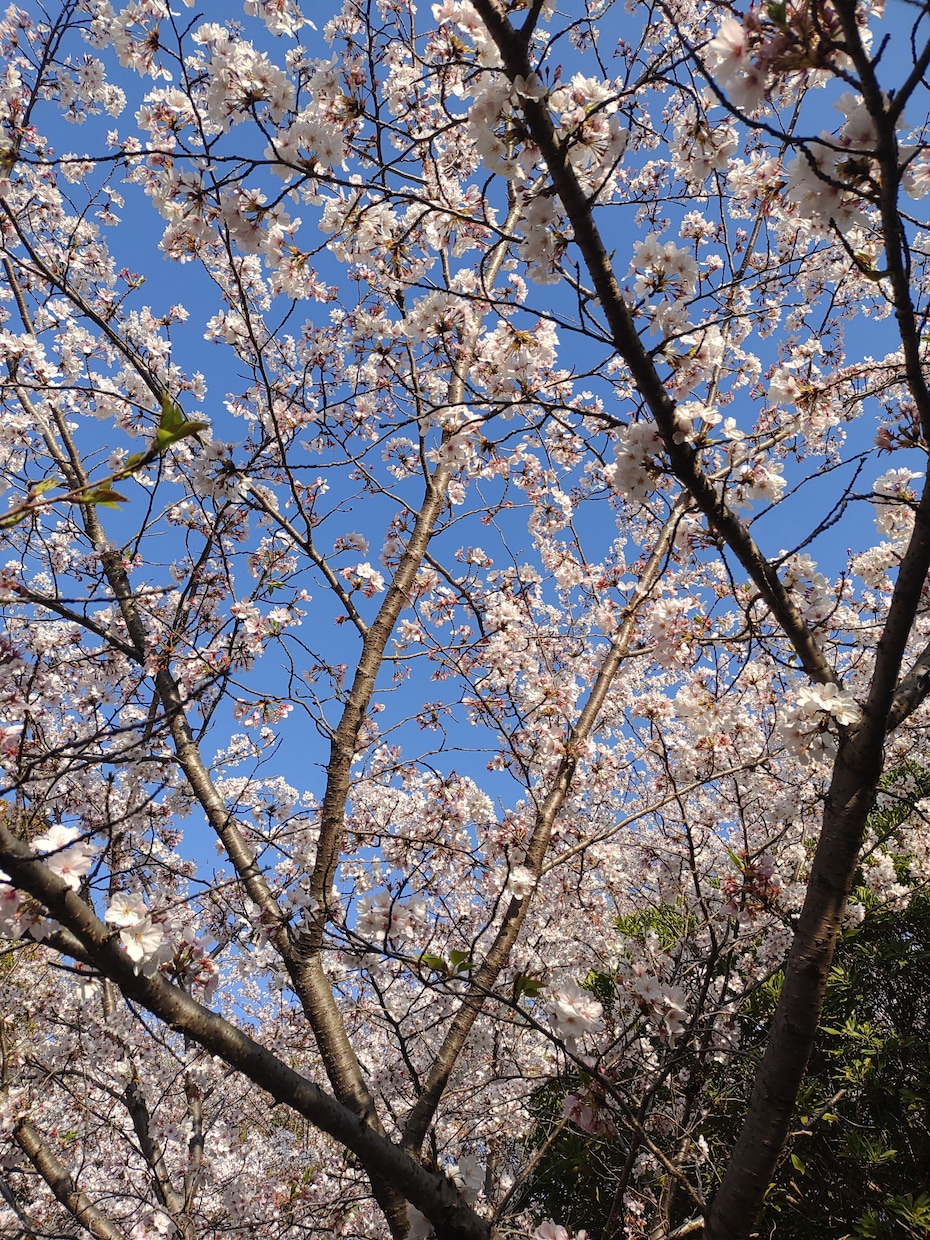 明日のあなたの笑顔のために、お話お聞きします 今日は笑いましたか？泣ける場所ありますか？ イメージ1