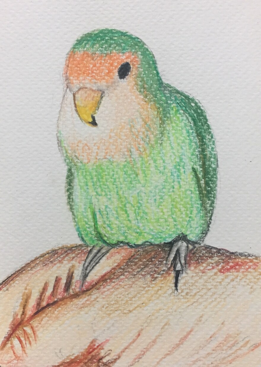 ご希望のモチーフを何でも色鉛筆で描きます 写真とは一味違う貴方だけのオーダメイドの一点物です イメージ8