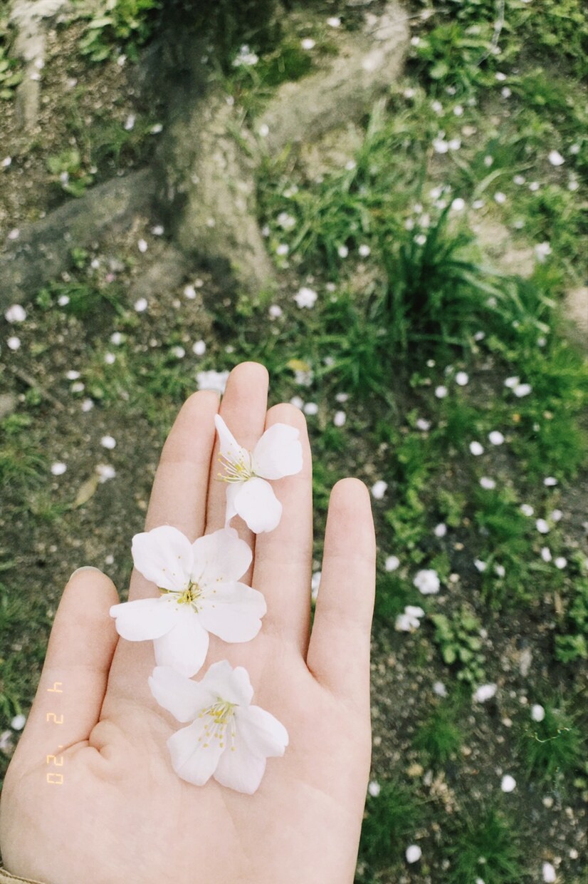 病気の苦しみや不安を聞きます 難病患者です。今までに至る患者しかわからない気持ちを聞きます イメージ1