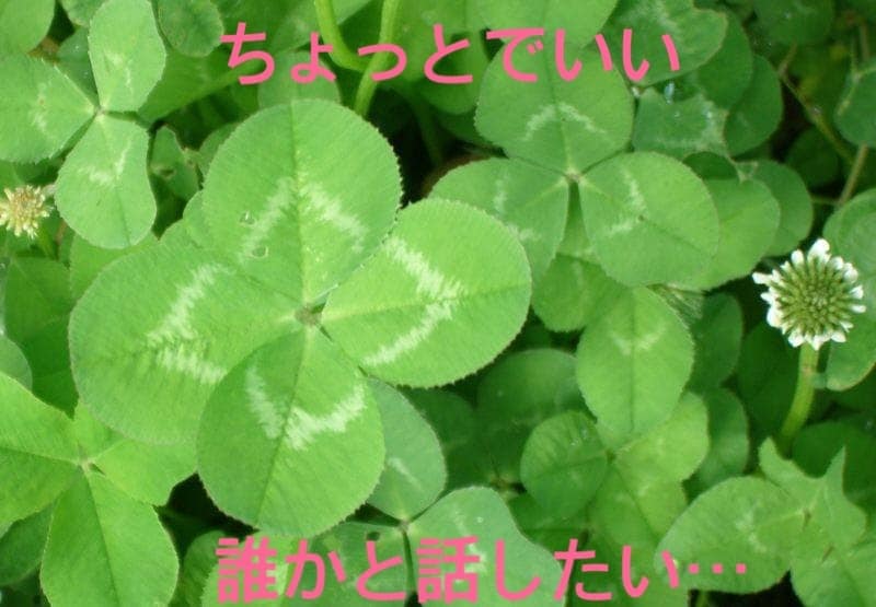 あなたのお話し相手になります 特に何もないけど、誰かと話したい!私とお話ししましょう イメージ1