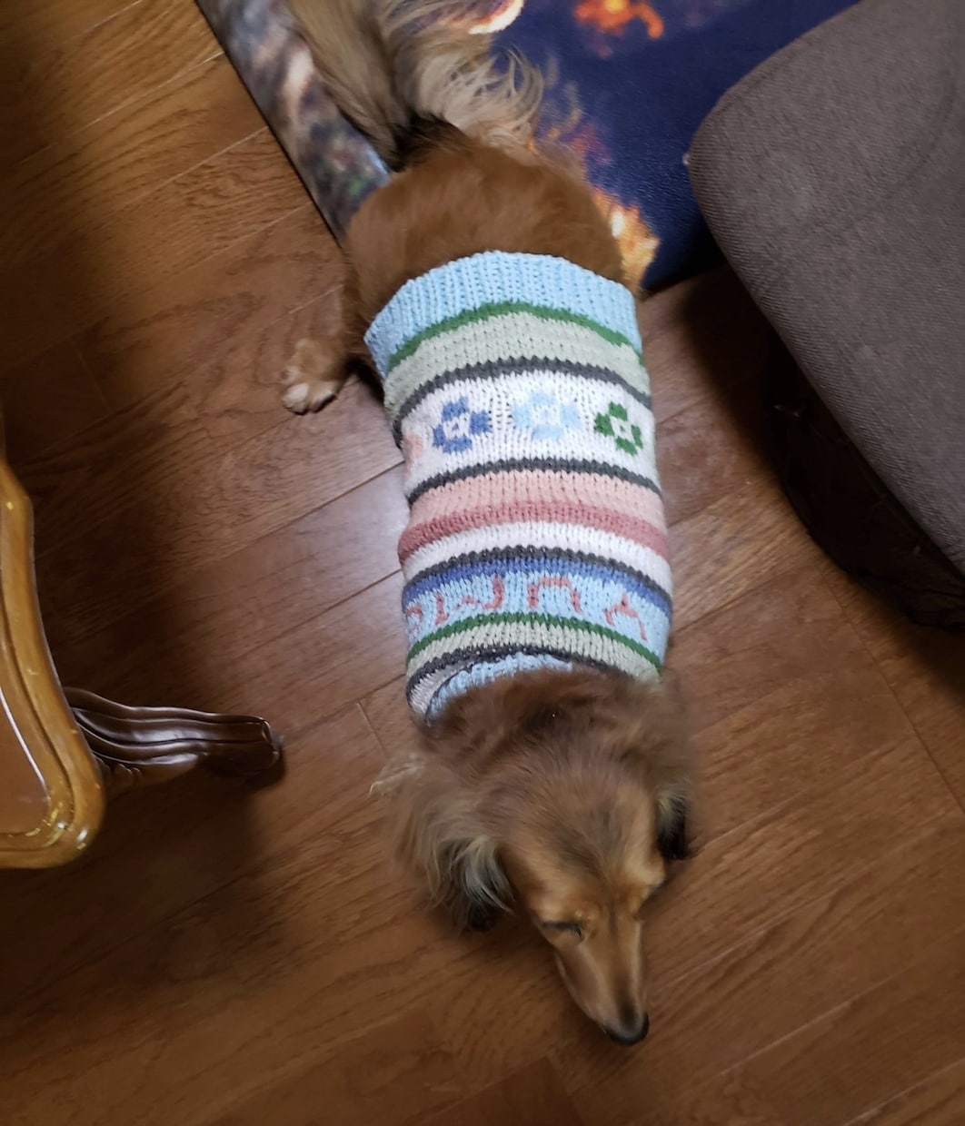 犬のセーターの編み図作ります 愛犬ちゃんにオリジナルデザインのセーターを編んであげましょう イメージ5