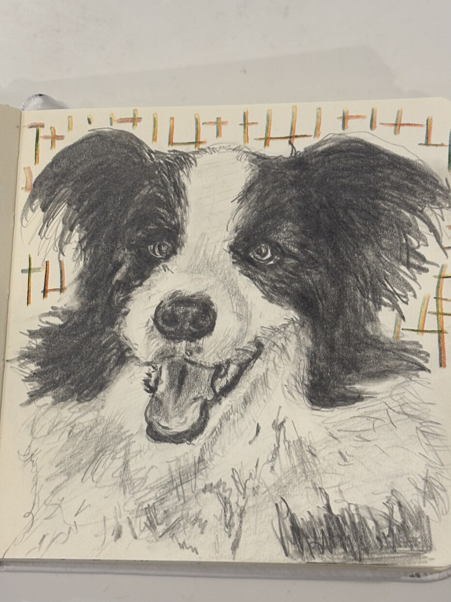 ペットの似顔絵描きます 愛ペットの似顔絵いかがですか？原画お送ります！ イメージ8