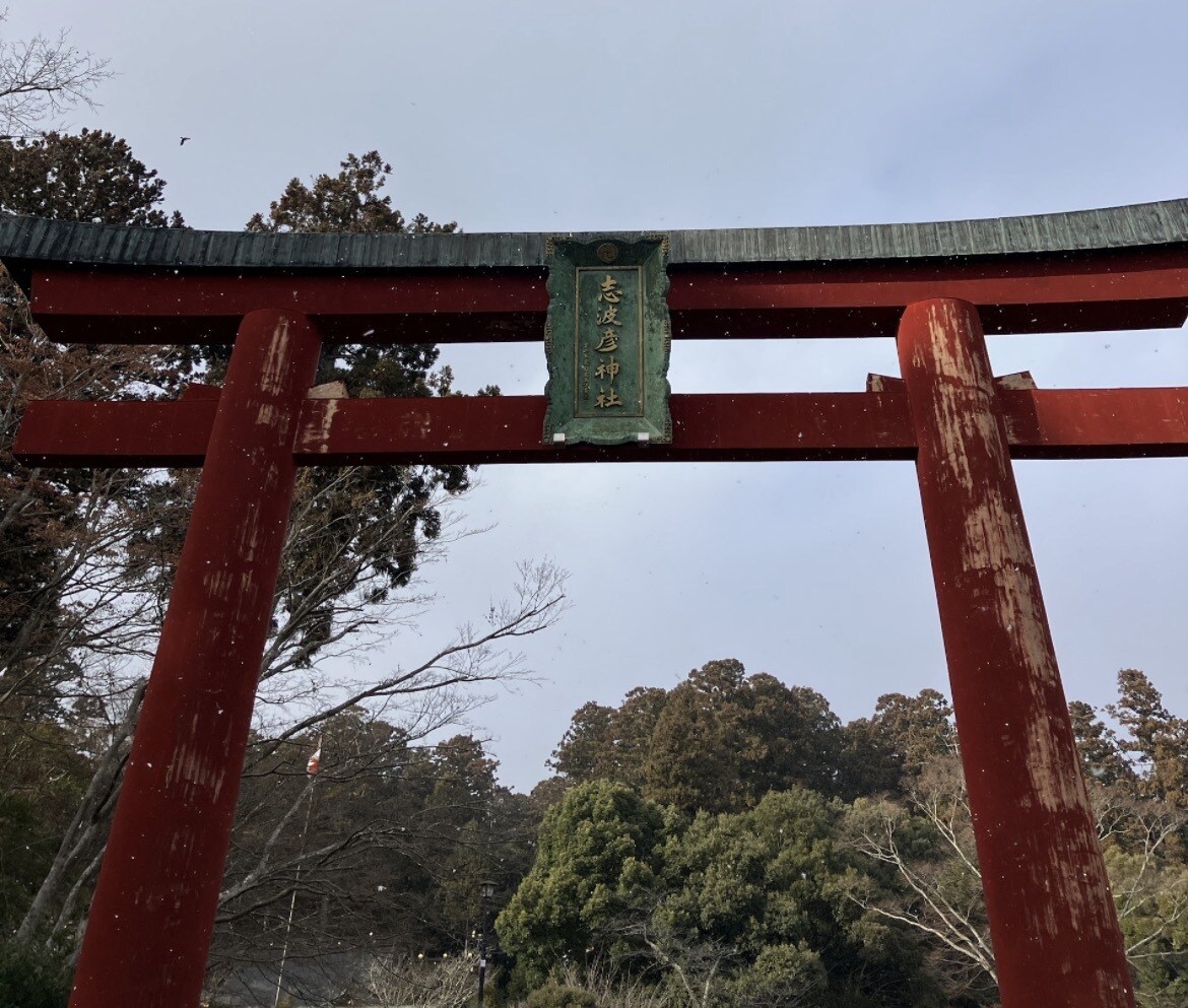 鹽竈神社・志波彦神社を代理参拝いたします 感謝や願いを伝えたい方に届きますように。 イメージ2