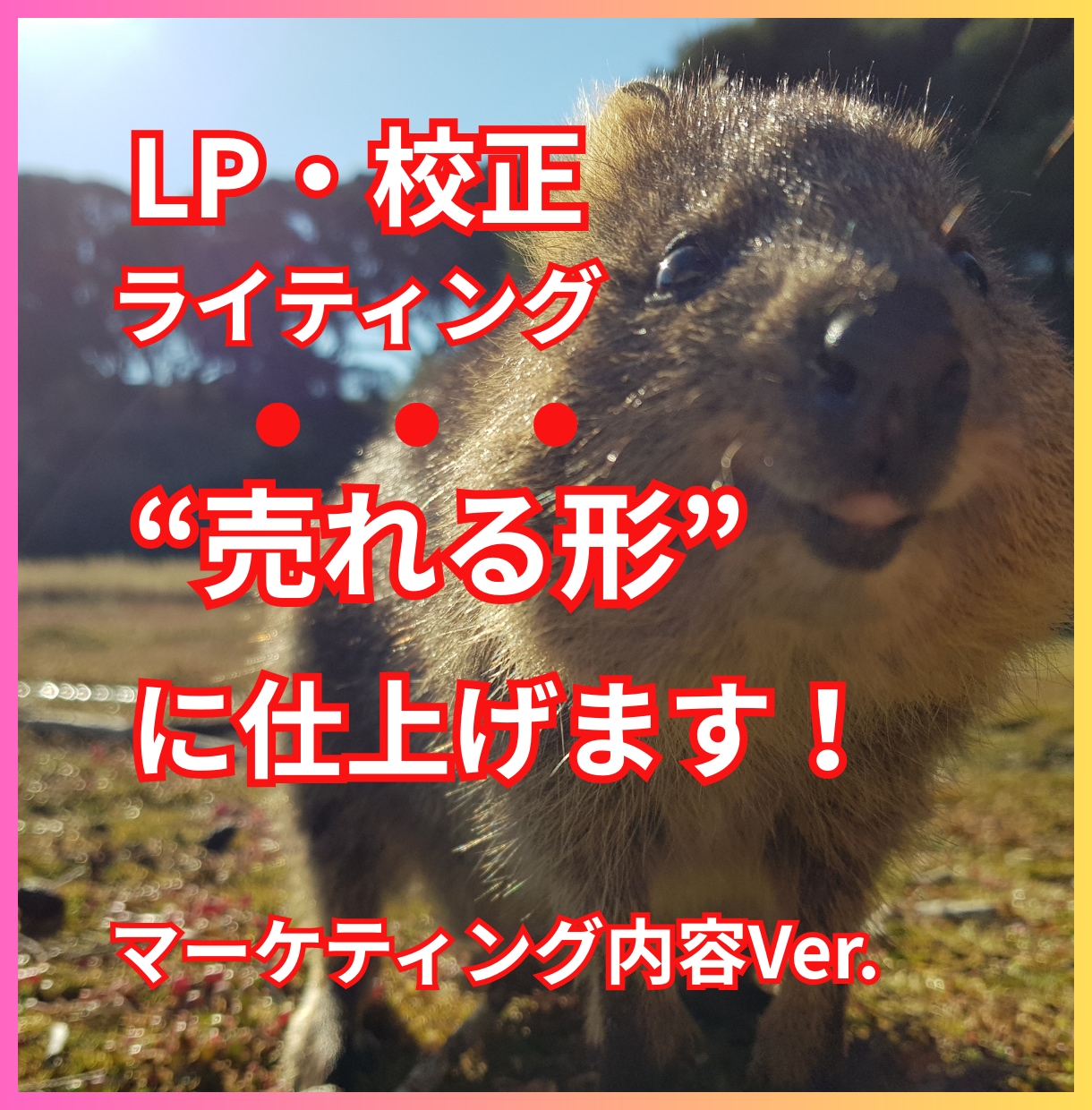 整理商品購入者｜LP・文章・ブランディングします LP構成・文章作成・各ライティング・校正を内容別に対応。 イメージ1