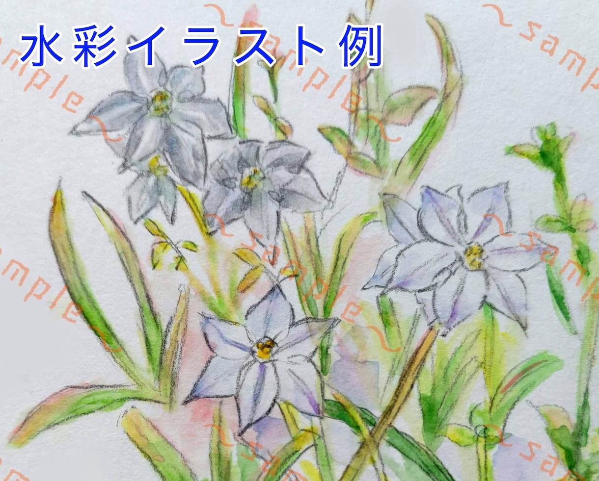 やさしい水彩で植物イラスト・SNSアイコン描きます やさしい水彩で、日常にそっと寄り添う植物イラスト イメージ4