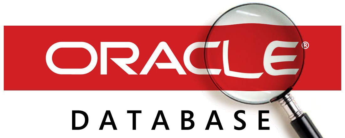 Oracle Database 構築します Oracle Databaseのインストール、およびDB構築 イメージ1