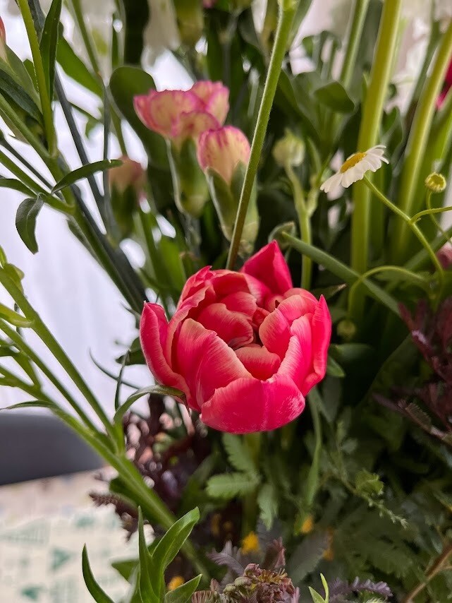 お花からのメッセージをお伝えします 気になったお花のお写真から、お花のメッセージをお伝えします イメージ10