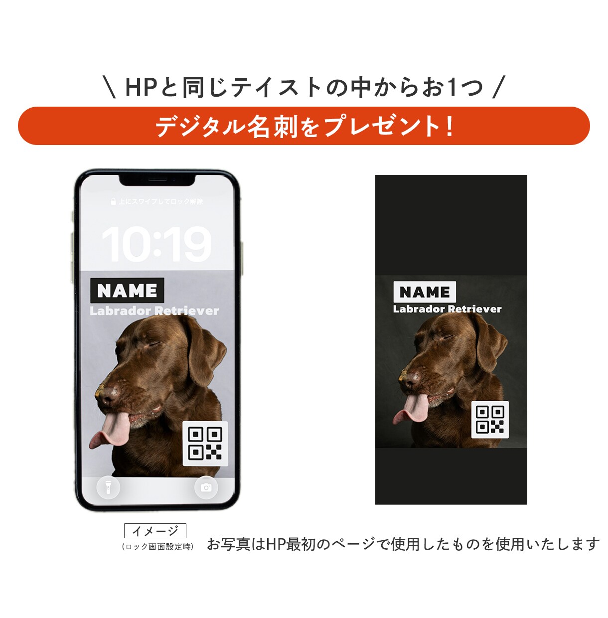 犬用のデジタル名刺付！うちの子HPを制作します 【シック】わんこのHP　維持費0円のStudioで制作 イメージ6