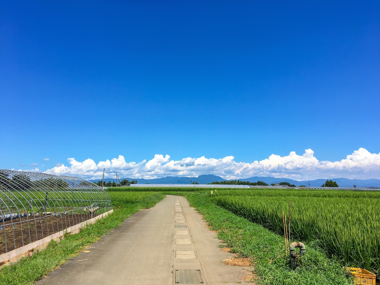 転勤族の住む場所は？幼稚園選びは？一緒に考えます 転勤族の方、転勤族の奥様、1人で頑張り過ぎないで下さい！ イメージ1