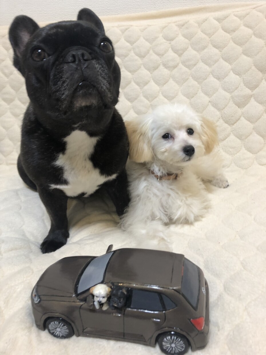愛犬のフィギュアをオーダー制作します 思い出の一杯詰まったフィギュア制作 イメージ7