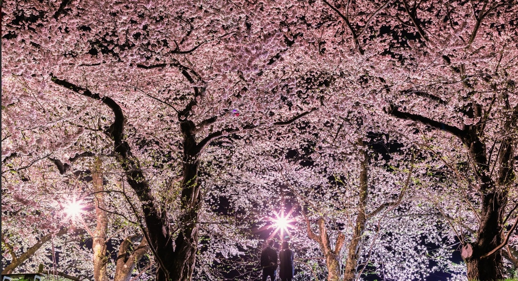 あなたの代わりにご予約致します 24時間365日いつでもokです～＼(^^)／ イメージ3