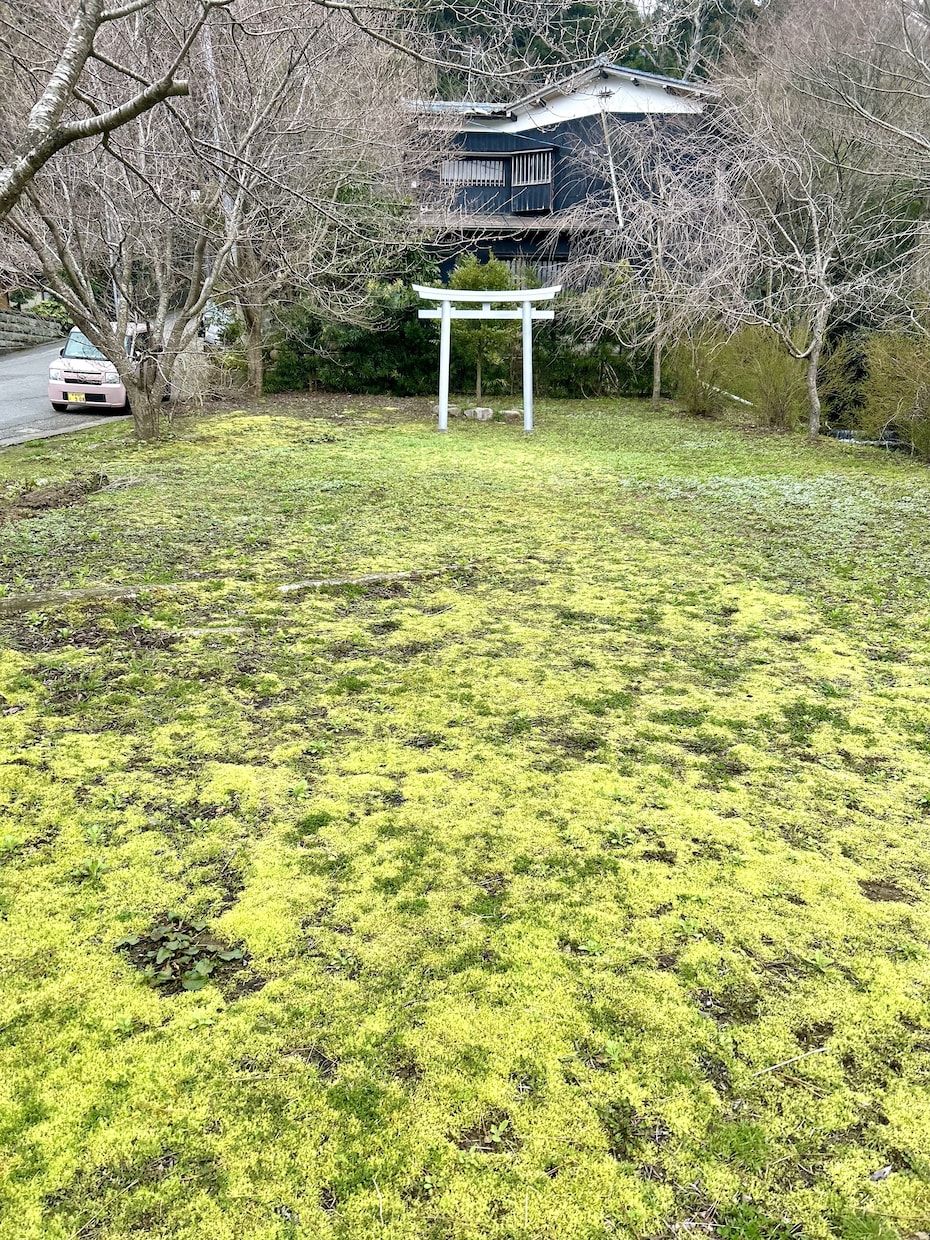神社の神さまのメッセージお伝えします 神さまが”あなた”に伝えたい思いとは？ イメージ5