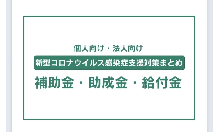 コロナ融資の書類、持続化補助金（50万）作成します コロナ融資の認定書〜申込書作成まで、持続化補助金の事業計画 イメージ1