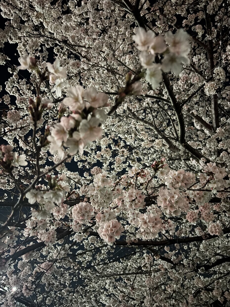 家族の悩み愚痴雑談一緒に話します 少しでも気持が楽になってくれたらいいなと思います。 イメージ4