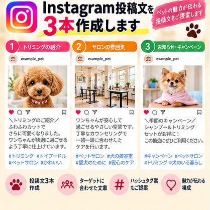 Instagram投稿文を3本作成します 商品の魅力が伝わる投稿文をご提案します イメージ10