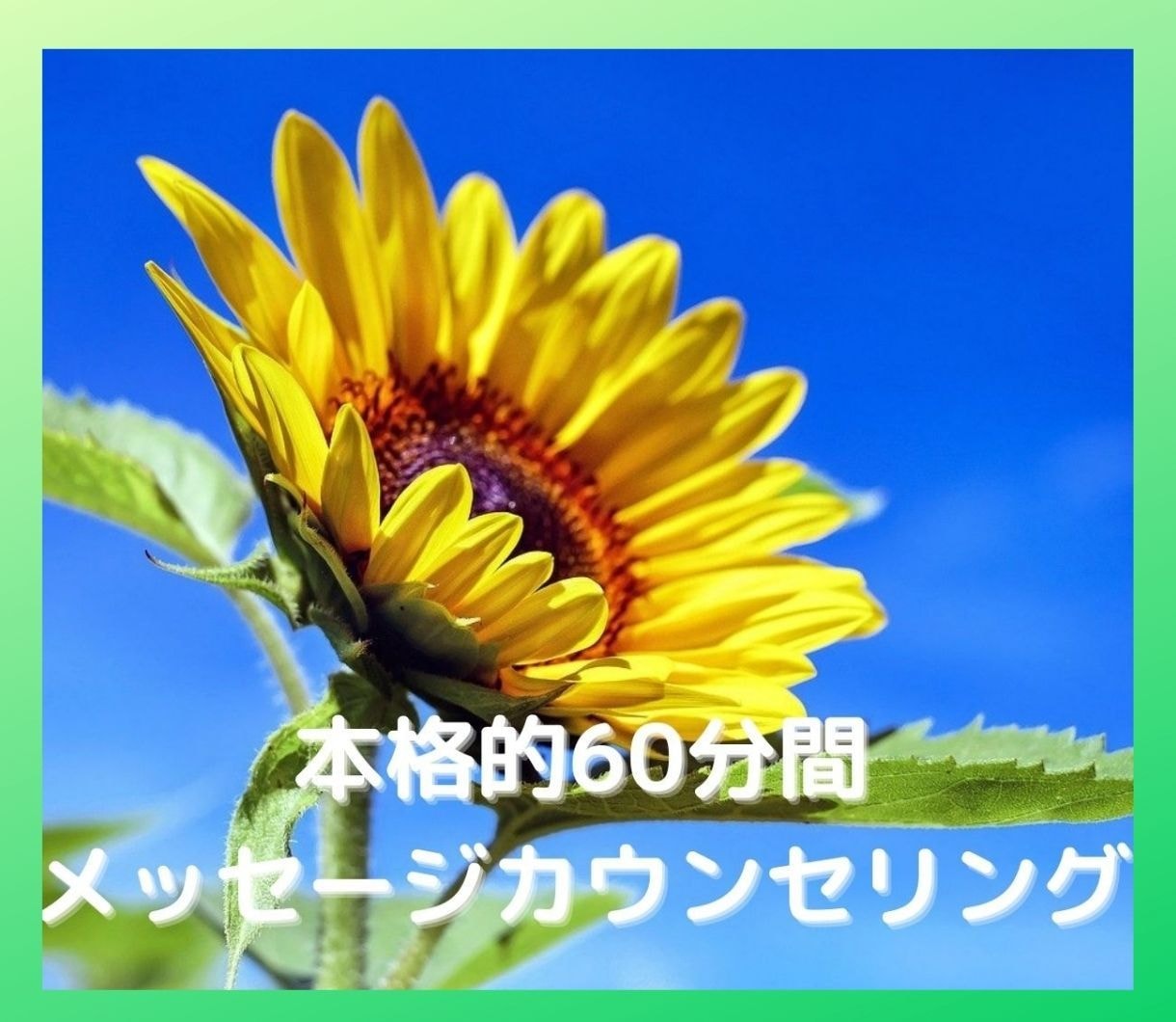 60分間話したい人、心理士がじっくり話を聴きます 20分のメッセージカウンセリングでは物足りない人、集まれ！！ イメージ1