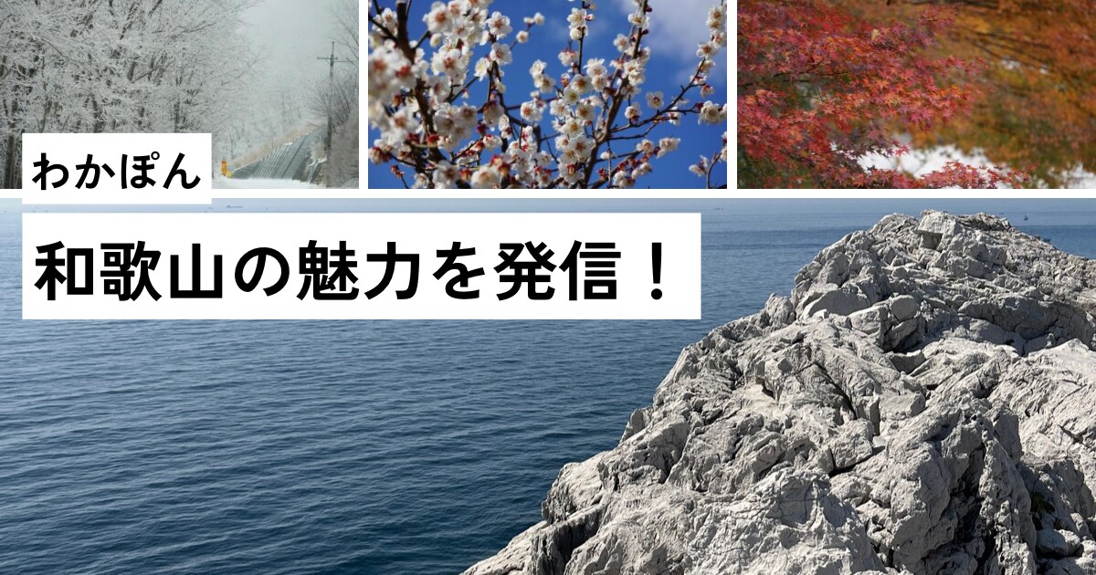 和歌山県の旅行のプランニング致します 和歌山県産まれ、育ちの22歳が1人1人のご要望にお応えします イメージ1
