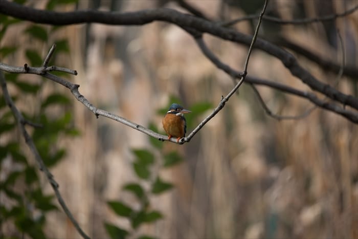 デジカメ写真３枚を綺麗に編集、現像致します。 イメージ2