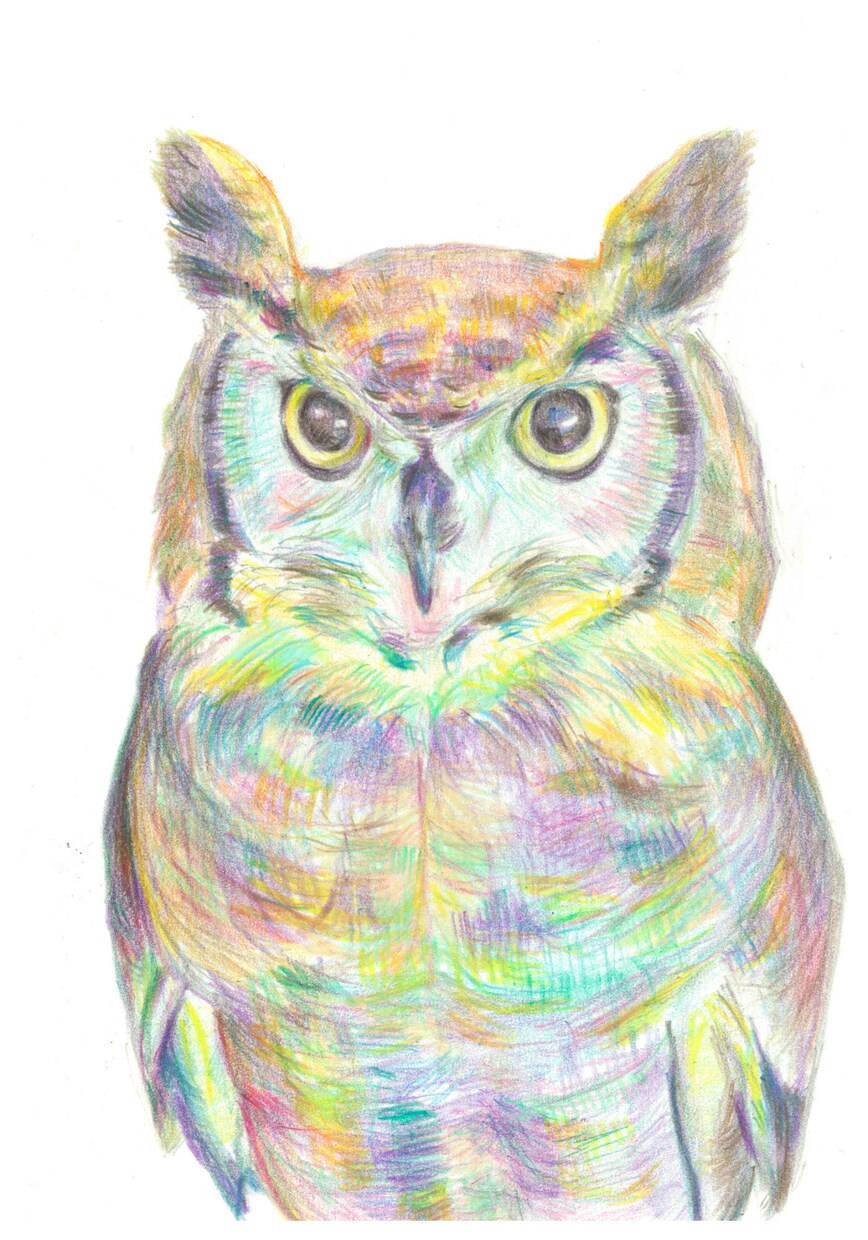 あなたの大切な人、ペットを絵画にします 色鉛筆画　ポストカードサイズです。心を込めて制作致します。 イメージ3