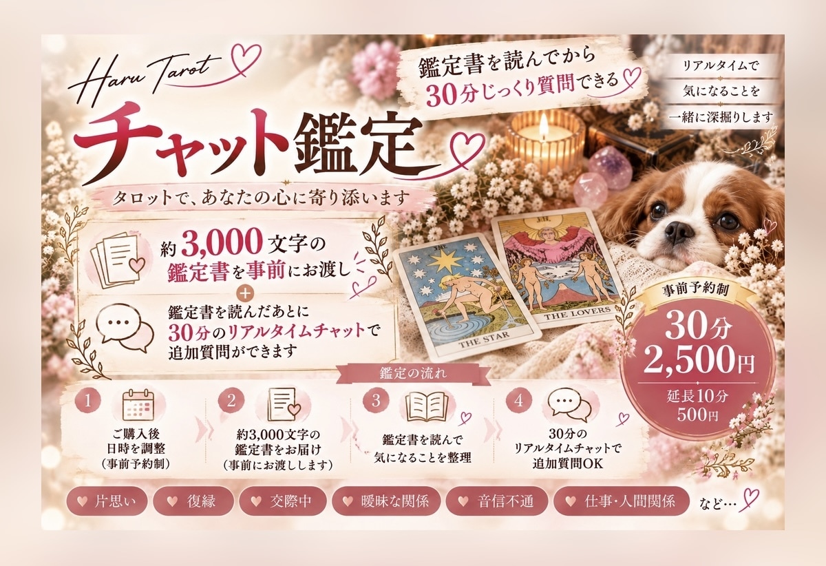 事前鑑定＋30分チャットでお悩みを深く占います 事前に鑑定書を読んでから、30分じっくり質問できる イメージ1
