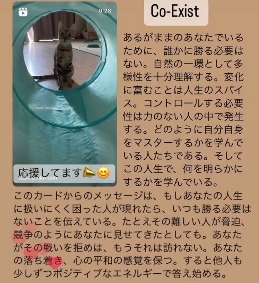 電話で心がほどける！オラクルカード引きます 電話で相談するだけで、迷いがほどける不思議体験 イメージ8