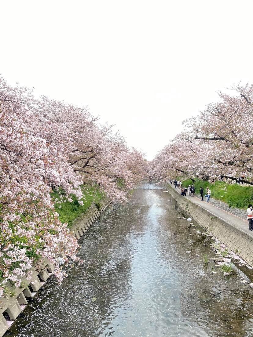 日本語⇔ベトナム語の通訳、翻訳でございます 日本に８年滞在、日本人とやり取りがスムーズ対応出来ること。 イメージ1
