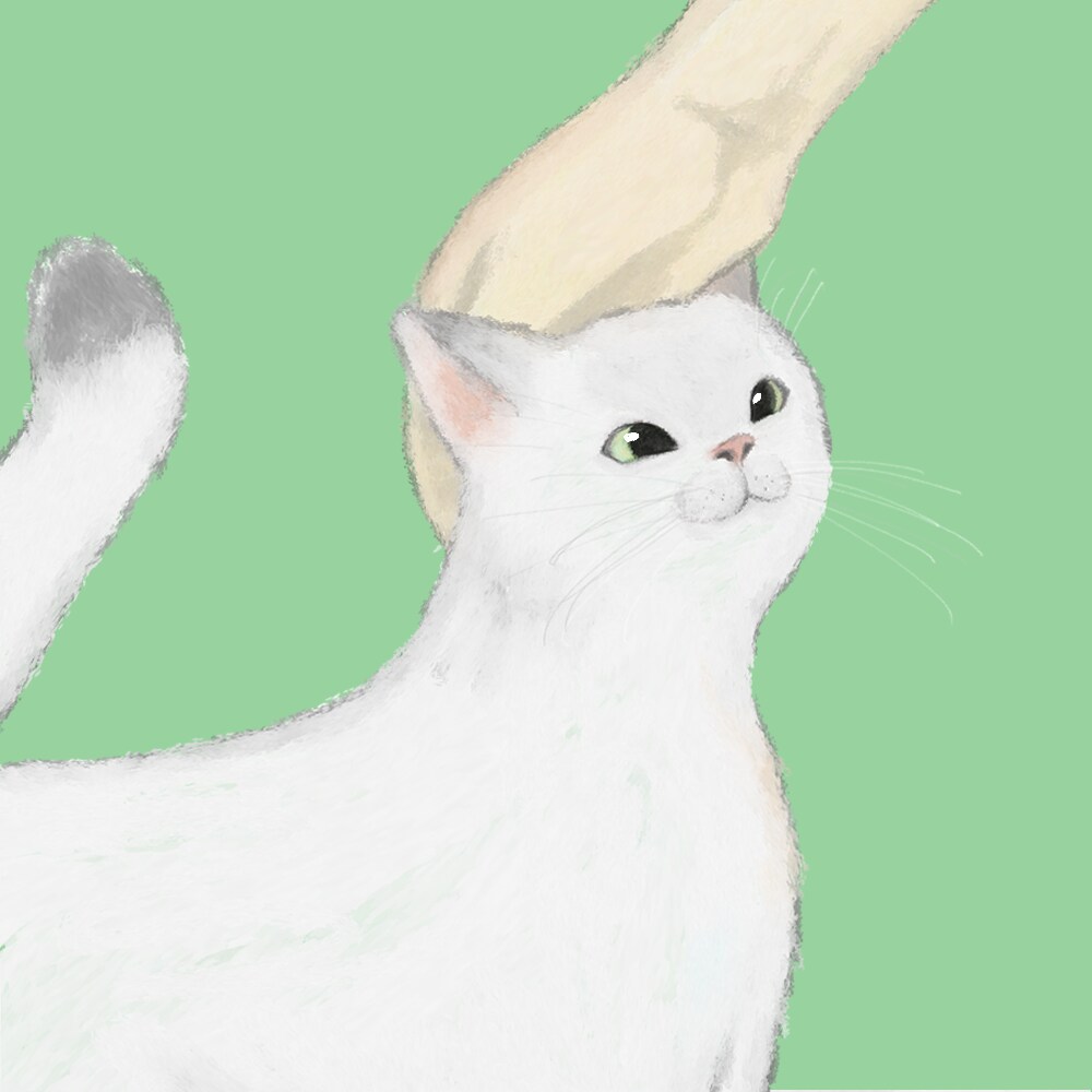ペットの似顔絵、お好みのイラスト描きます 花と猫のマッチしたイラストはいかがですか？ イメージ9