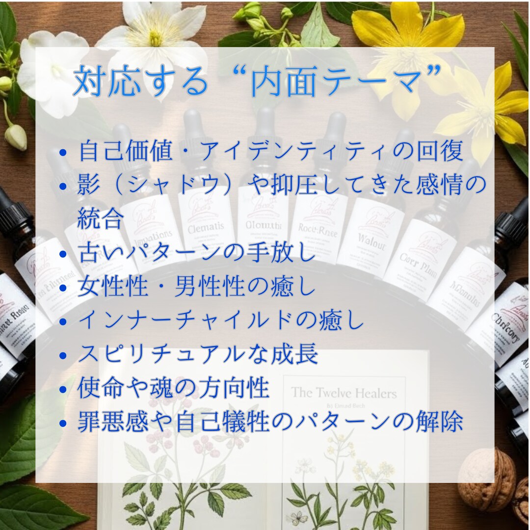 ヒーリー波動調整します ホメオパシーでストレスパターンの解放 イメージ4