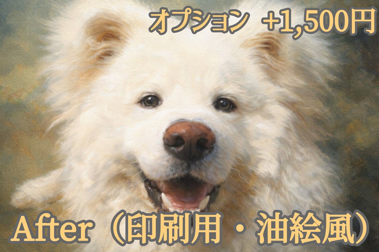 ペットの一言メッセージデジタルお守りを作成します ペットを霊視し必要な一言メッセージをスマホの待受画像でお届け イメージ3