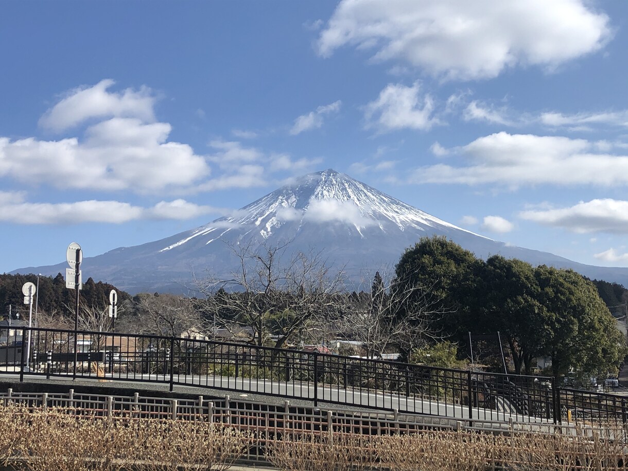 お花の写真メインで提供します お花、風景をメインに写真提供します。 イメージ9