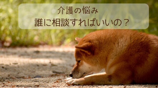 介護相談、介護現場での悩み、介護転職相談受けます 同じ業界で働く皆さんに活力を！現役施設長が対応いたします！ イメージ5