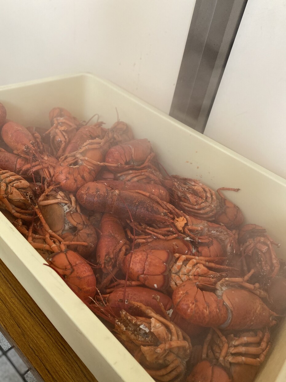 元フランス料理人です。なんでもお答え致します 料理の献立やどうすれば上手くいくのか等料理について答えます。 イメージ5
