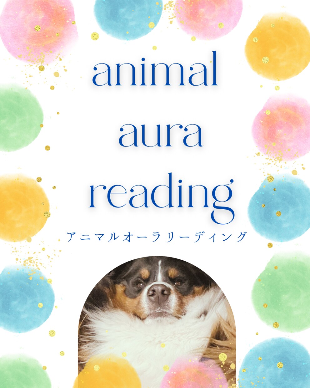 アニマルオーラリーディング　承ります 動物さんのオーラから現在の健康状態や使命を読み解きます イメージ1