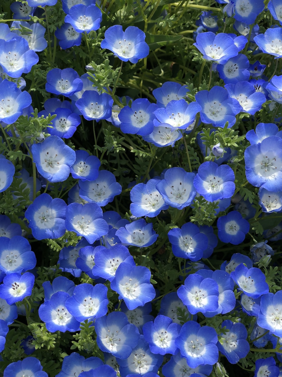 あなたの辛い事を一緒に考えます 虐待やまるで奴隷のような生活の中生きてきましたので経験豊富 イメージ1