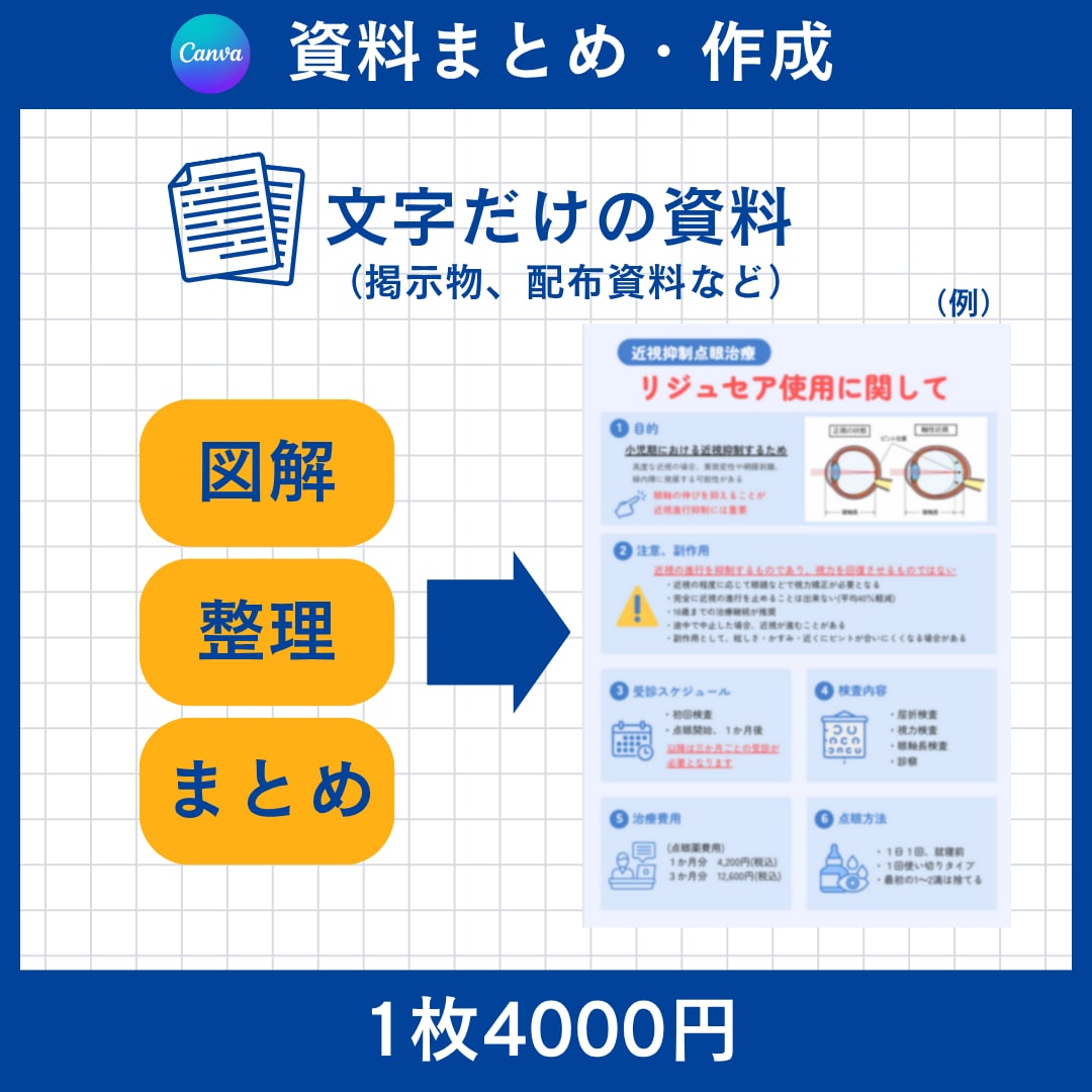 医療メイン！要点を伝える資料、スライド作成します 学会出席、講義経験あり！眼科は特にお任せください イメージ2