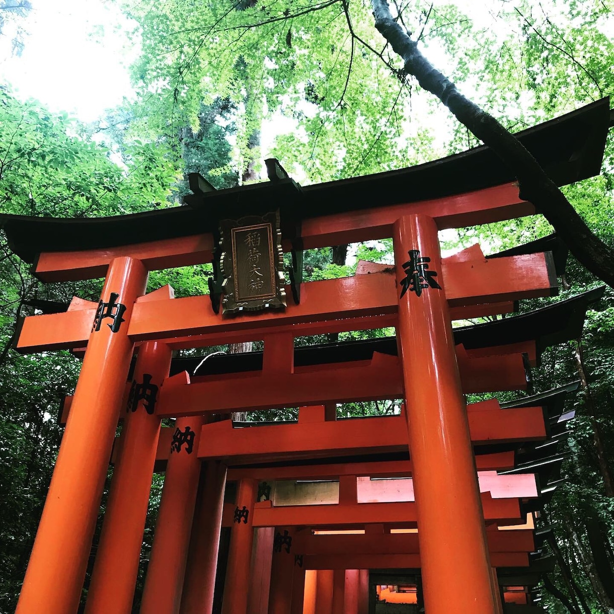 より京都好きになる！京都旅行をお手伝いします 京都旅行リピーターさんにオススメ！ イメージ2