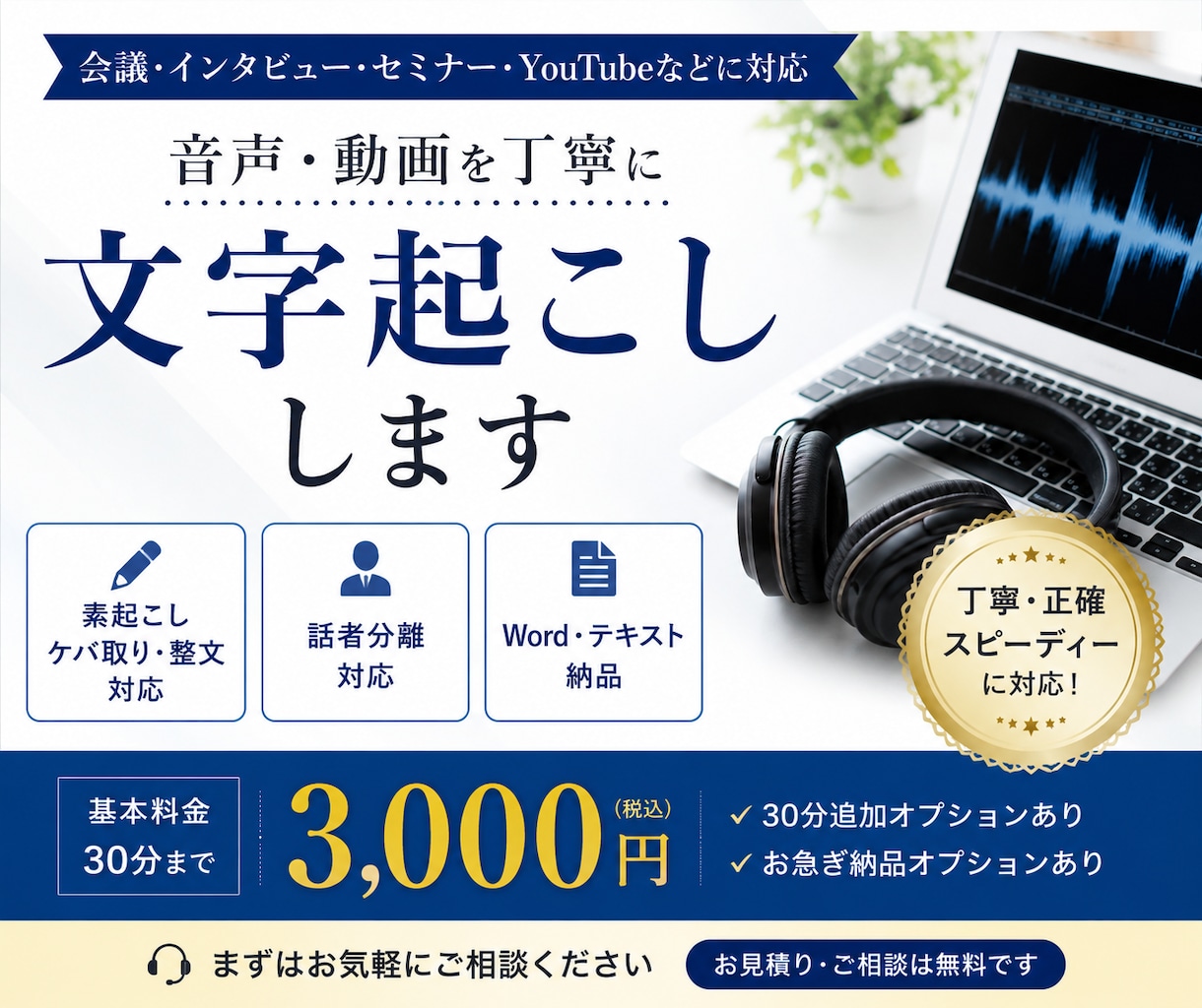 用途に合わせた文字起こしを承ります 音声・動画を丁寧に文字起こし【素起こし・ケバ取り・整文対応】 イメージ1