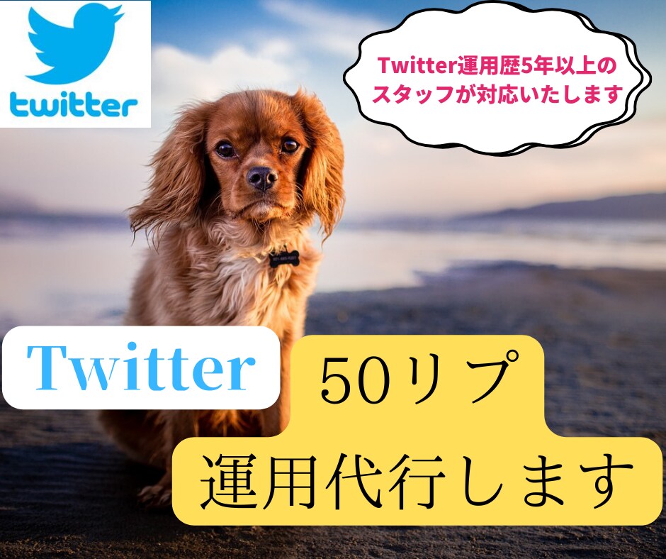 twitterで毎日30リプライを運用代行します リプライをアクティブユーザーに向け"手作業"でお送りします イメージ1