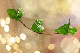 ご自分がよくわからないというあなたへ イメージ1