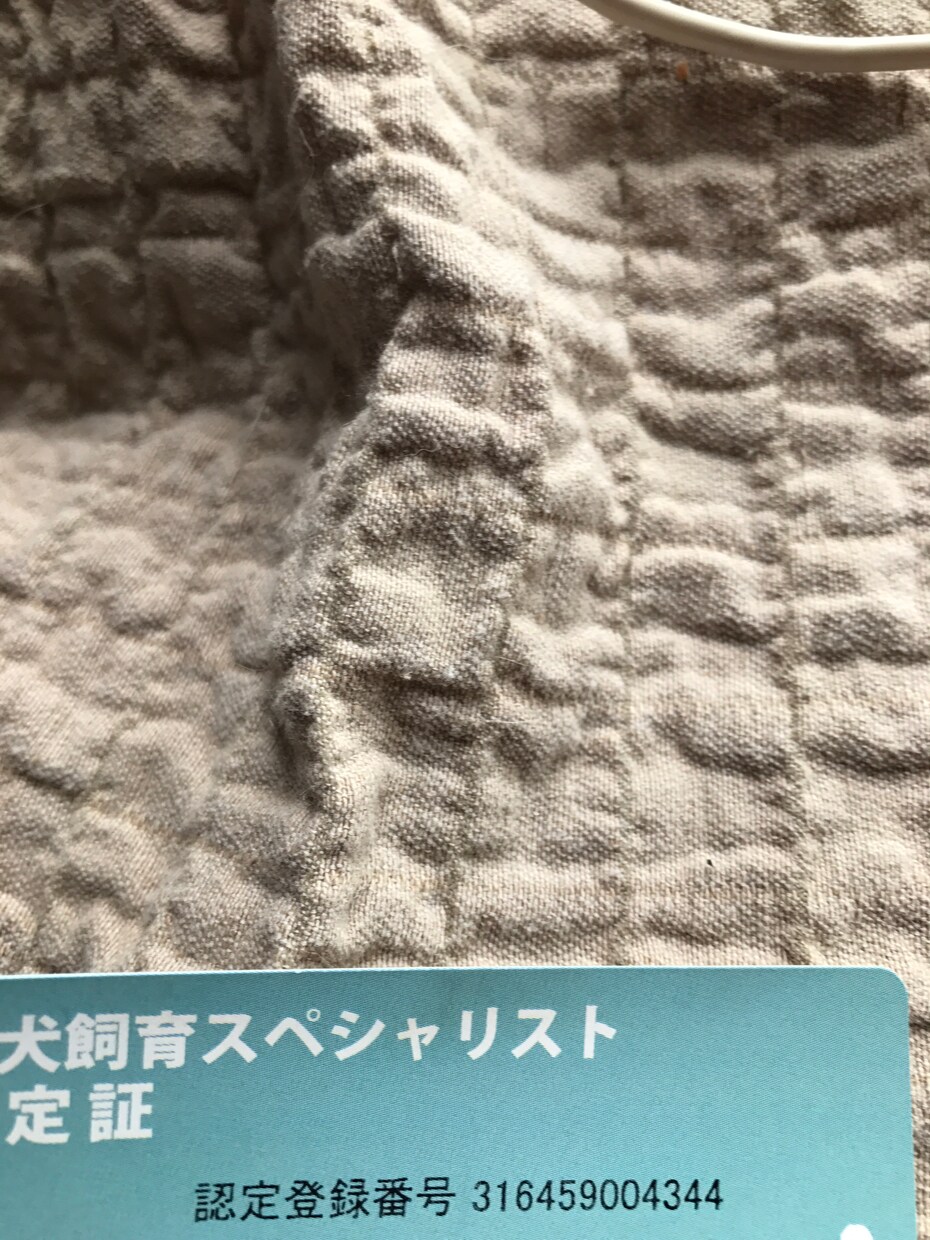 愛犬の疑問答えます 一緒に住んでいるけど疑問だらけのあなたへ イメージ1