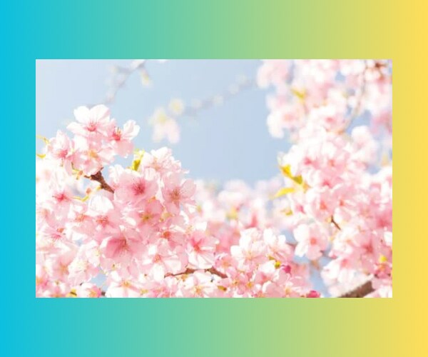 中学受験で不安な親御さんの気持ちをお聞きします ☘️元お受験ママ/メンタル/塾/志望校/家庭内対応/不安 イメージ9