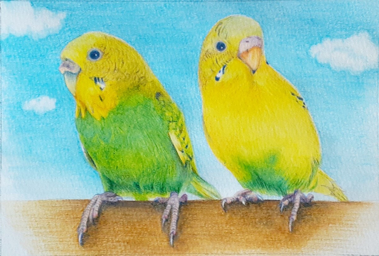 超リアル！ペットのイラストを水彩色鉛筆等で描きます あなただけのオリジナル似顔絵をお届けします。 イメージ4