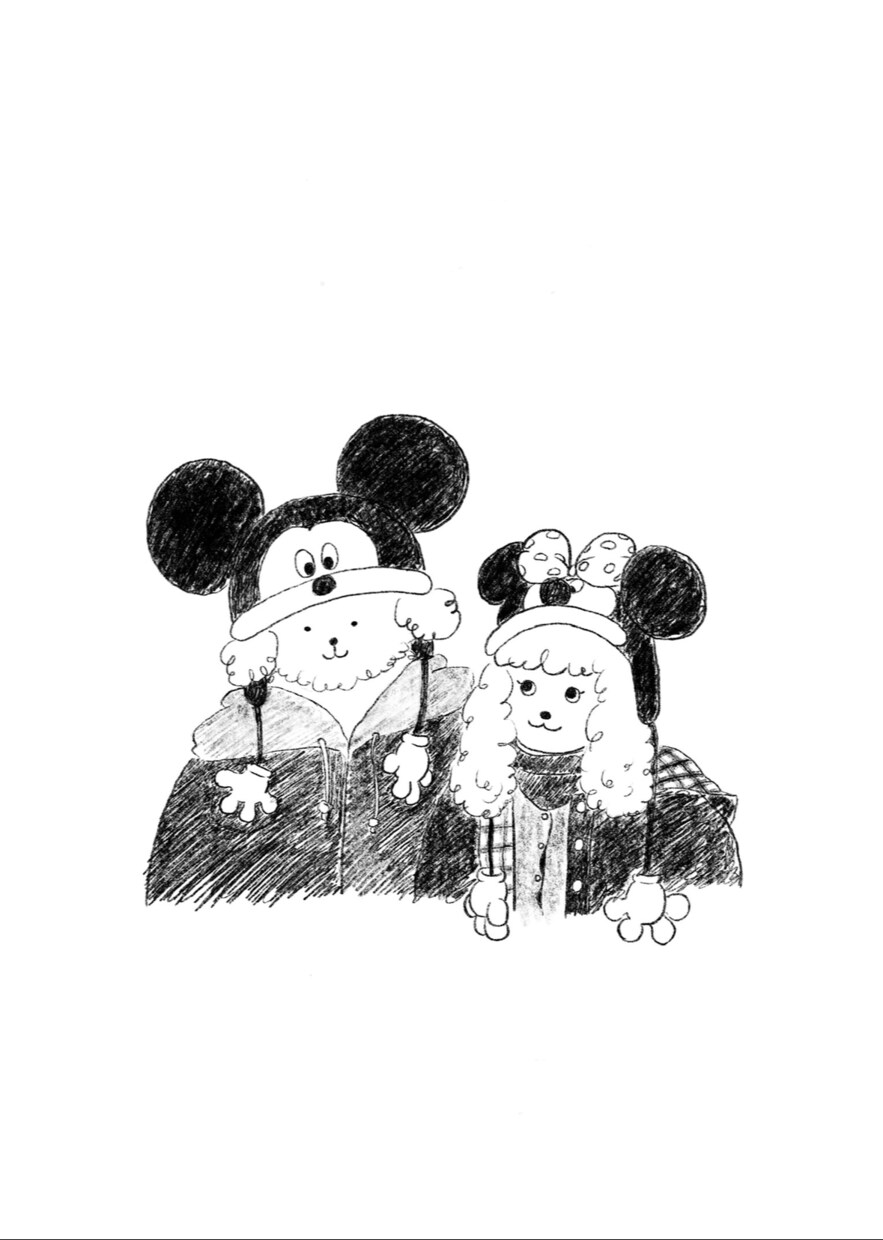 おしゃれシンプルな動物化！似顔絵イラスト作成します 写真から動物化！結婚祝いのプレゼントにも！印刷手配も可能です イメージ3