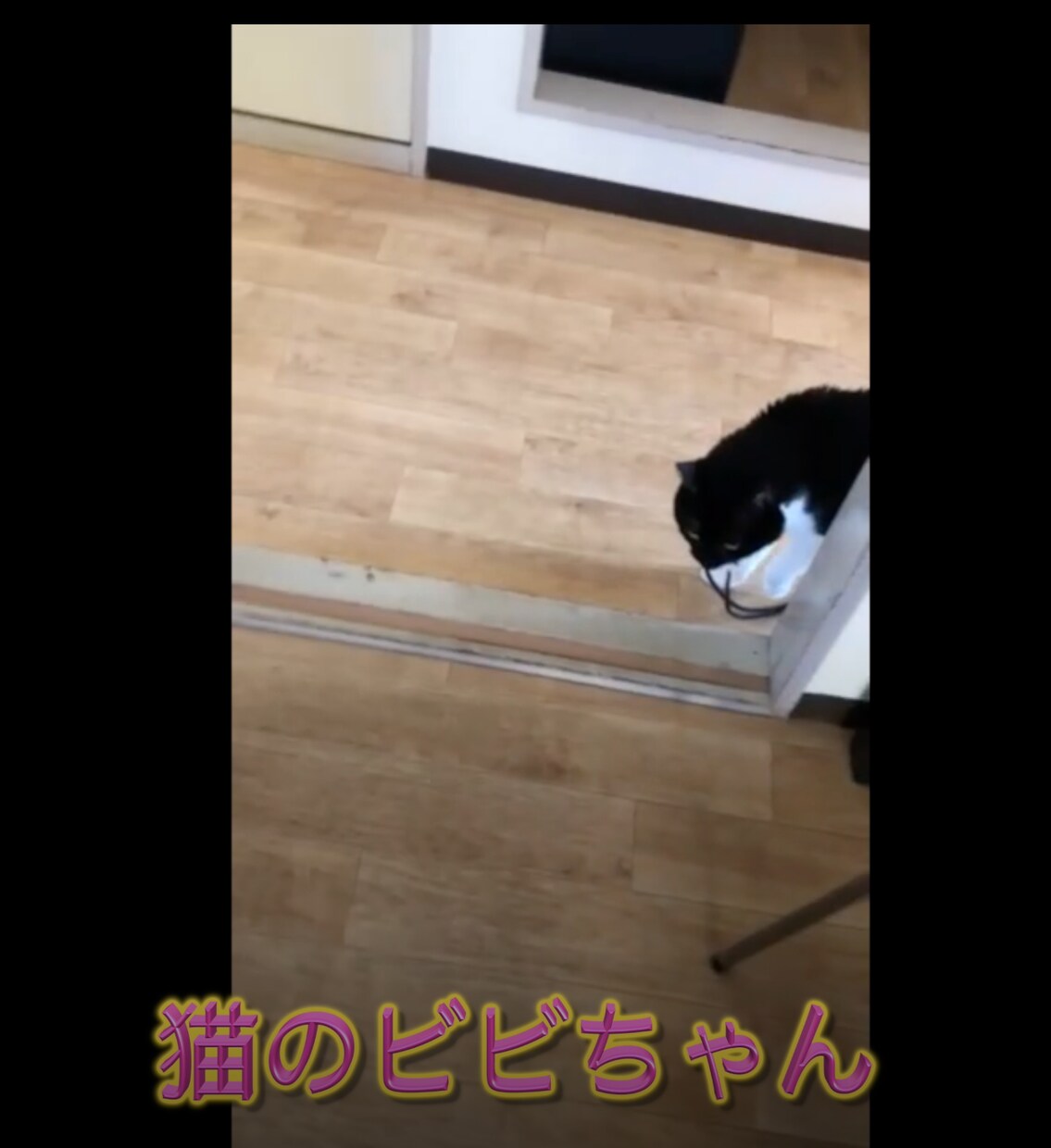 動画のテロップ入れます 動画のカット・テロップをファイナルカットプロで作成します。 イメージ1