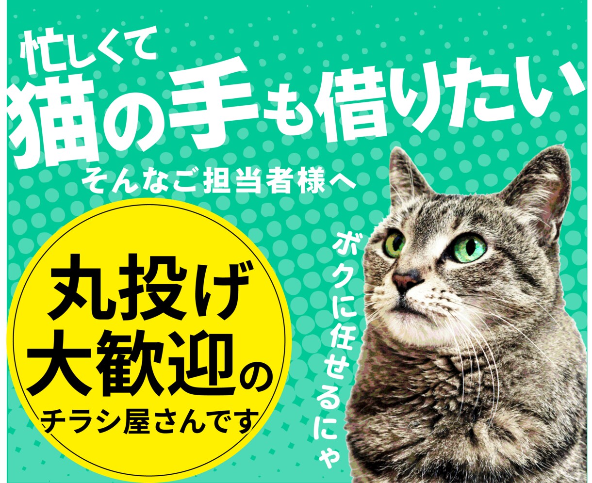 原稿不要・丸投げOK！集客に効くチラシを制作します 何から手をつければ…そんな猫の手も借りたい担当者のお手伝い イメージ1