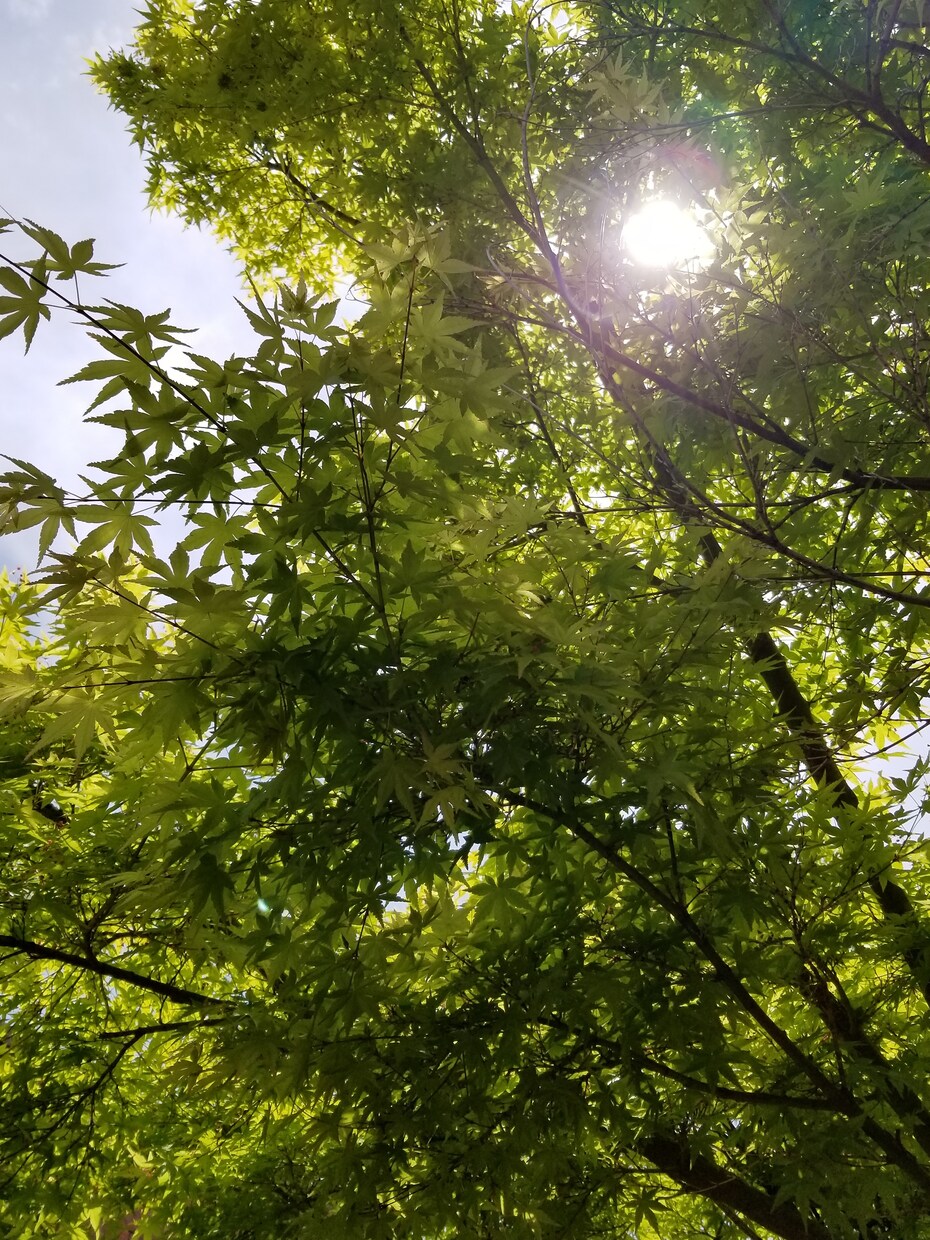 心と体のケア☆ヨガでリフレッシュのお手伝いをします ☆パーソナルレッスン☆呼吸と共に動き、心と体を見つめます。 イメージ2