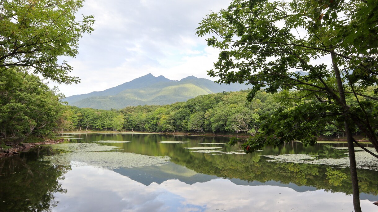 旅行計画が面倒な方へ！代わりに旅行計画立てます 色んなサイトを検討して1番安いプランを提供します！ イメージ5
